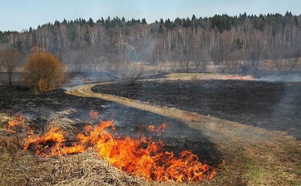 Пал сухой травы ОПАСЕН!.