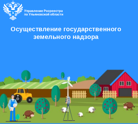 Осуществление государственного земельного надзора.
