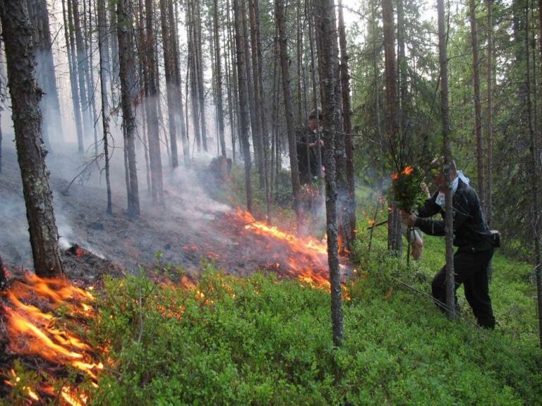 ПРЕДУПРЕЖДЕНИЕ о неблагоприятных явлениях погоды.