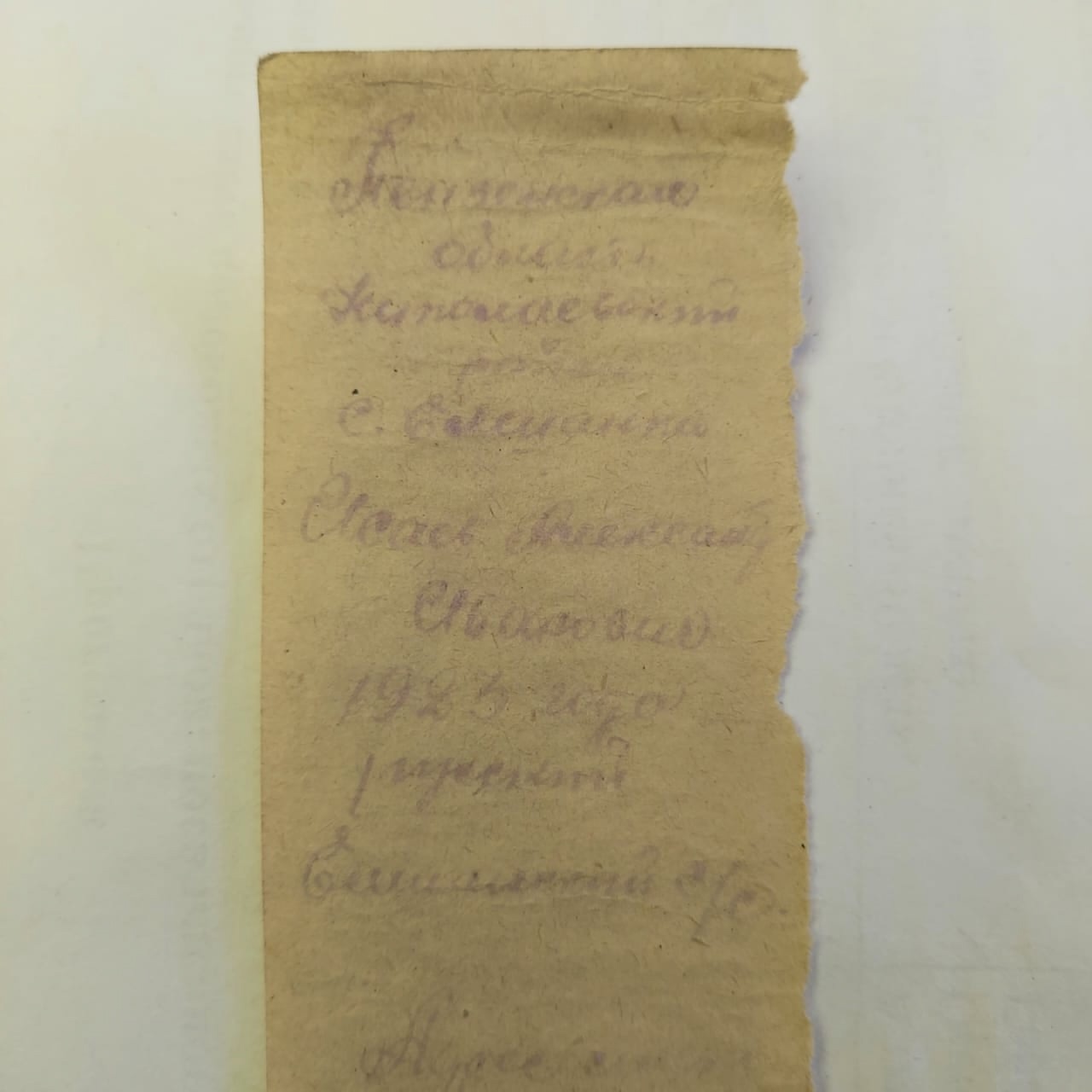 Поисковая экспедиция «Долина» памяти Н.И. Орлова.