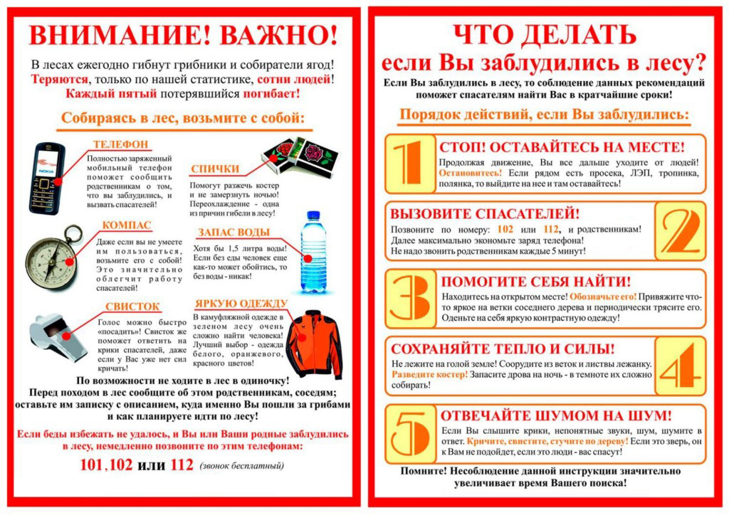Изображения.