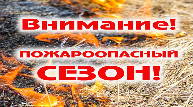 ПАМЯТКА НАСЕЛЕНИЮ О МЕРАХ ПОЖАРНОЙ БЕЗОПАСНОСТИ В ЛЕСАХ И ПРАВИЛАХ ПОВЕДЕНИЯ В ПОЖАРООПАСНЫЙ ПЕРИОД. ПАМЯТКА НАСЕЛЕНИЮ О МЕРАХ ПОЖАРНОЙ БЕЗОПАСНОСТИ В ЛЕСАХ И ПРАВИЛАХ ПОВЕДЕНИЯ В ПОЖАРООПАСНЫЙ ПЕРИОД.