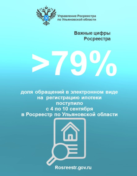 Электронные услуги (статистика). Электронные услуги (статистика).