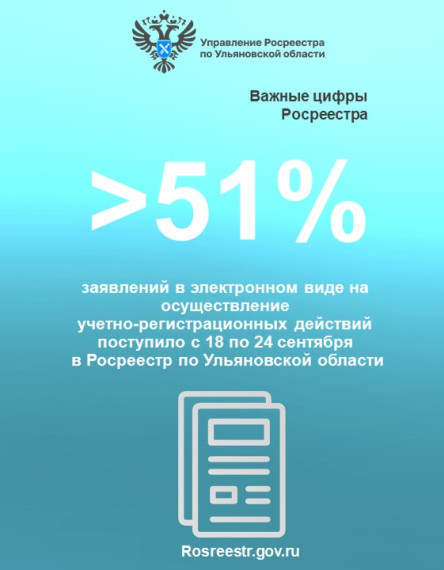 Электронные услуги (статистика). Электронные услуги (статистика).