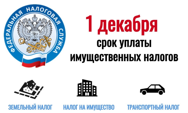 1 декабря 2023 года - срок уплаты имущественных налогов физическими лицами. 1 декабря 2023 года - срок уплаты имущественных налогов физическими лицами.